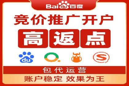 深度解析：百度竞价代理的优化策略与成功案例